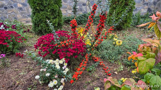 Mănăstirea Trotușanu