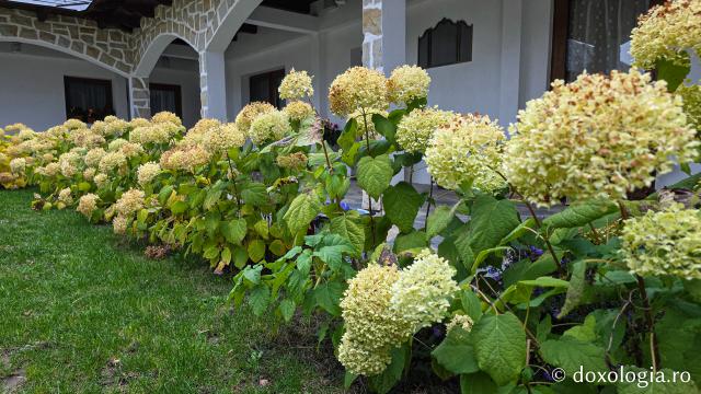 Mănăstirea Trotușanu