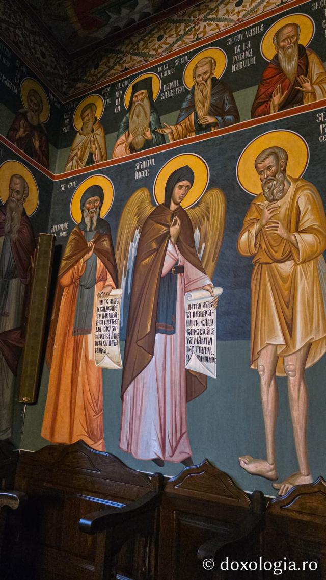 Mănăstirea Trotușanu