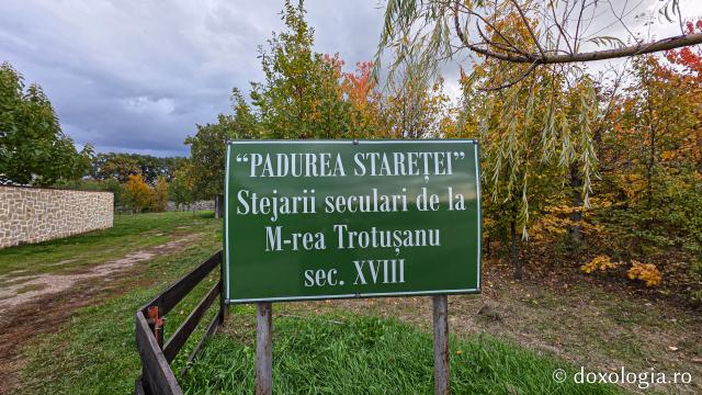 Mănăstirea Trotușanu