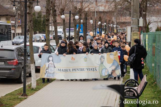 „Marșul pentru viață” în Lunca Cetățuii