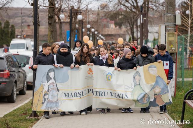 „Marșul pentru viață” în Lunca Cetățuii
