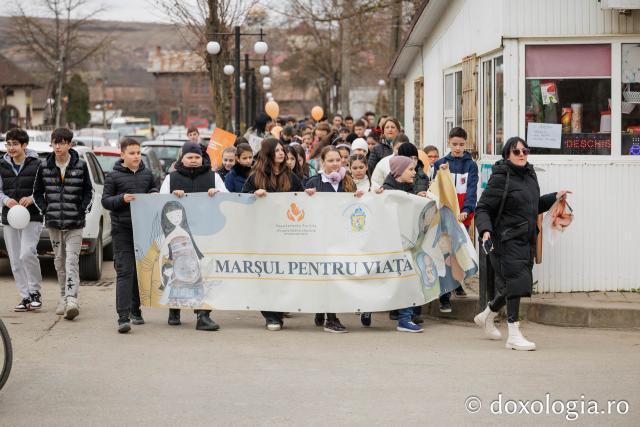 „Marșul pentru viață” în Lunca Cetățuii
