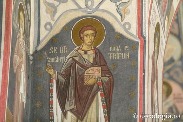 Podoaba de pictură a bisericii noi de la Mănăstirea Râmeț