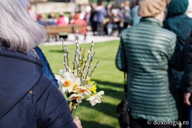 Pelerinajul de Florii de la Iași, 2026