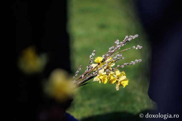 Pelerinajul de Florii de la Iași, 2026