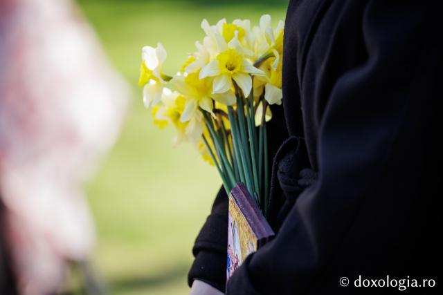 Pelerinajul de Florii de la Iași, 2026