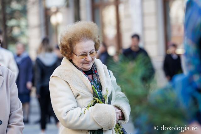 Pelerinajul de Florii de la Iași, 2026