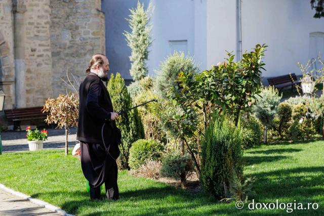 Iașul înflorit, la începutul Săptămânii Mari