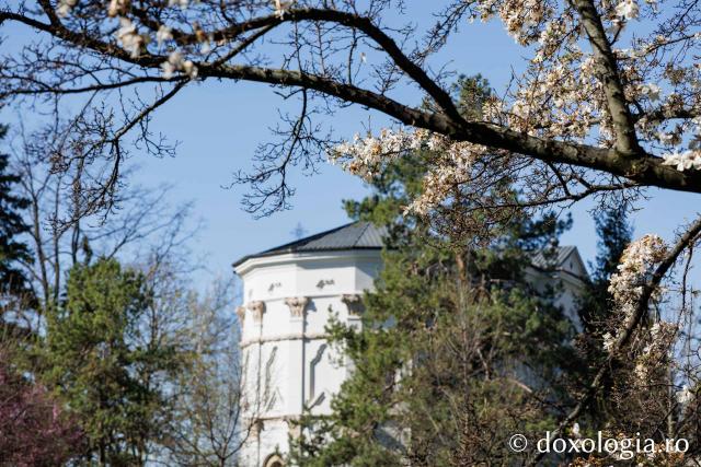 Iașul înflorit, la începutul Săptămânii Mari