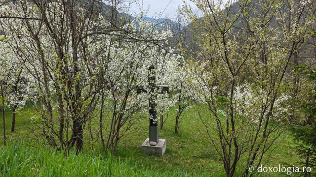 Mănăstirea „Martirii Neamului” Muncel