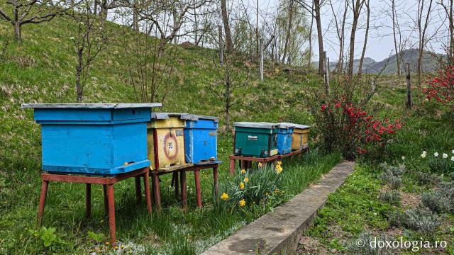 Mănăstirea „Martirii Neamului” Muncel