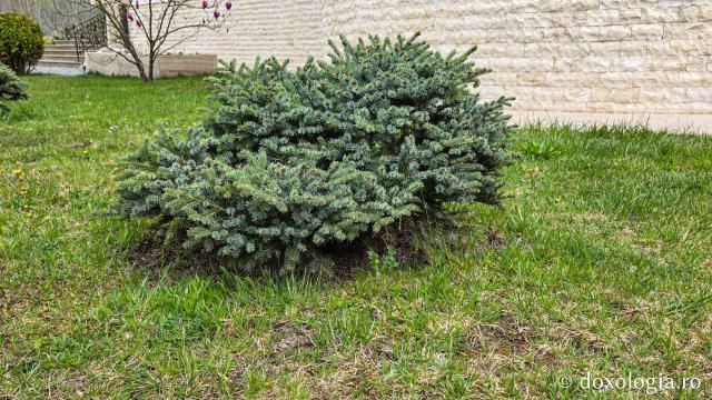 Mănăstirea „Martirii Neamului” Muncel