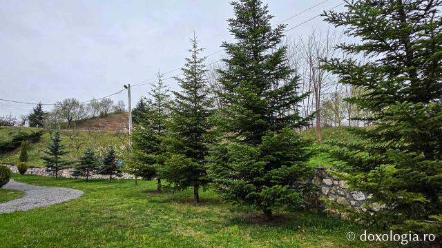 Mănăstirea „Martirii Neamului” Muncel