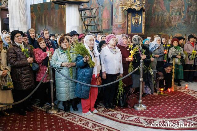 Pelerinajul de Florii de la Iași, 2026