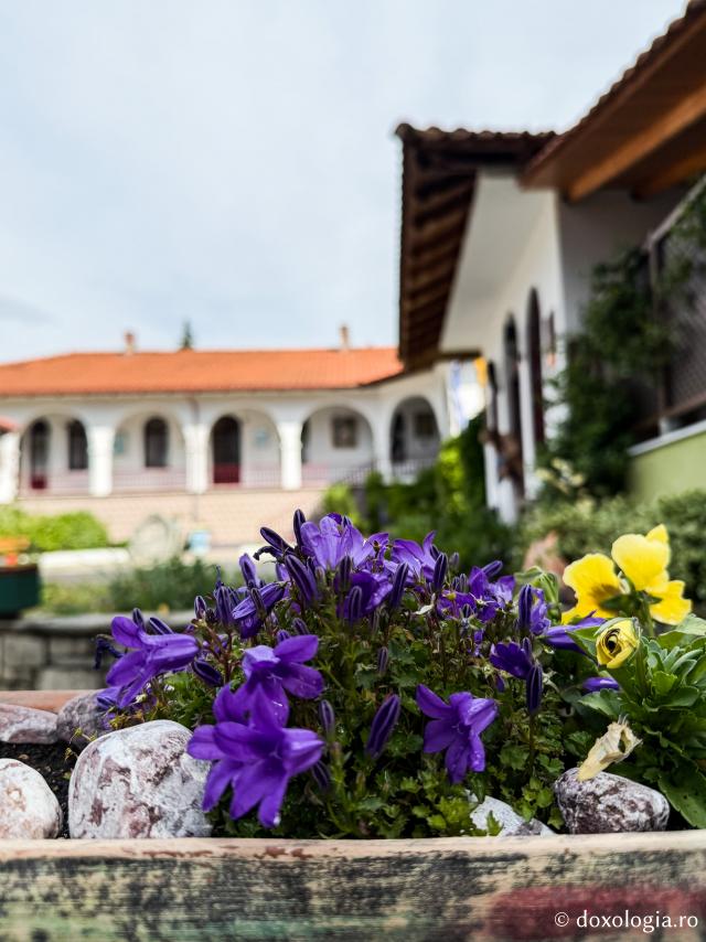 Mănăstirea „Înălțarea Domnului” – Sipsa, Grecia