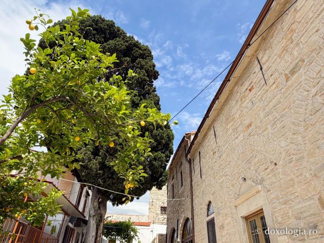 Mănăstirea „Sfânta Matrona” din Chios