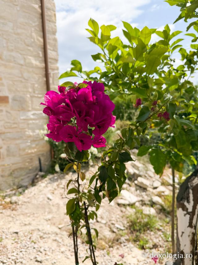 Mănăstirea „Sfânta Matrona” din Chios