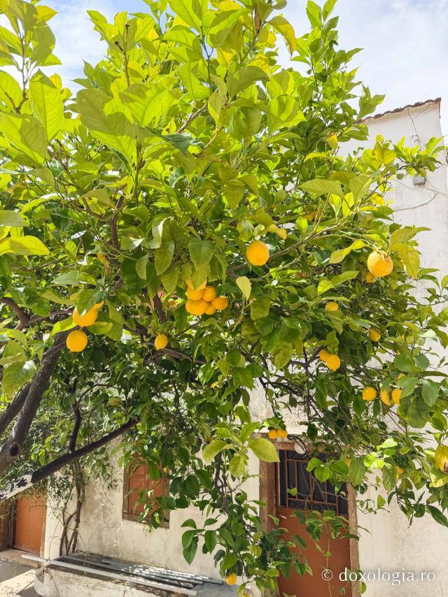 Mănăstirea „Sfânta Matrona” din Chios