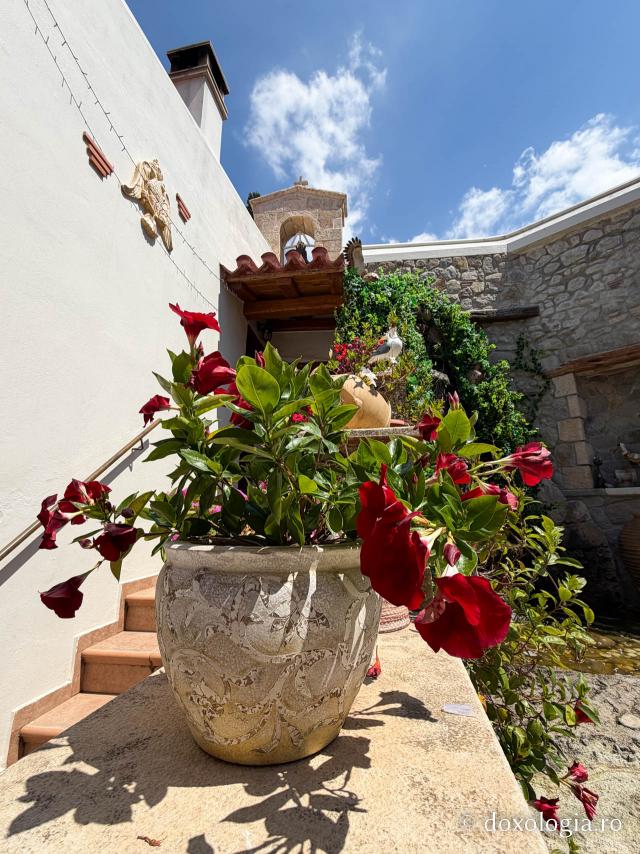 Florile Sfântului Ierarh Nectarie