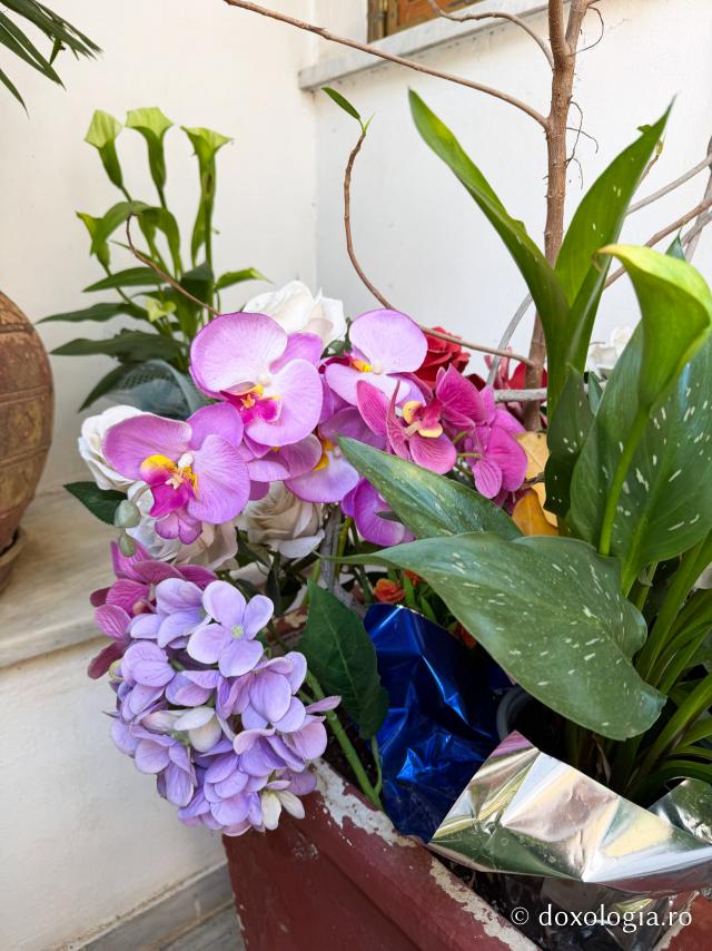Florile Sfântului Ierarh Nectarie