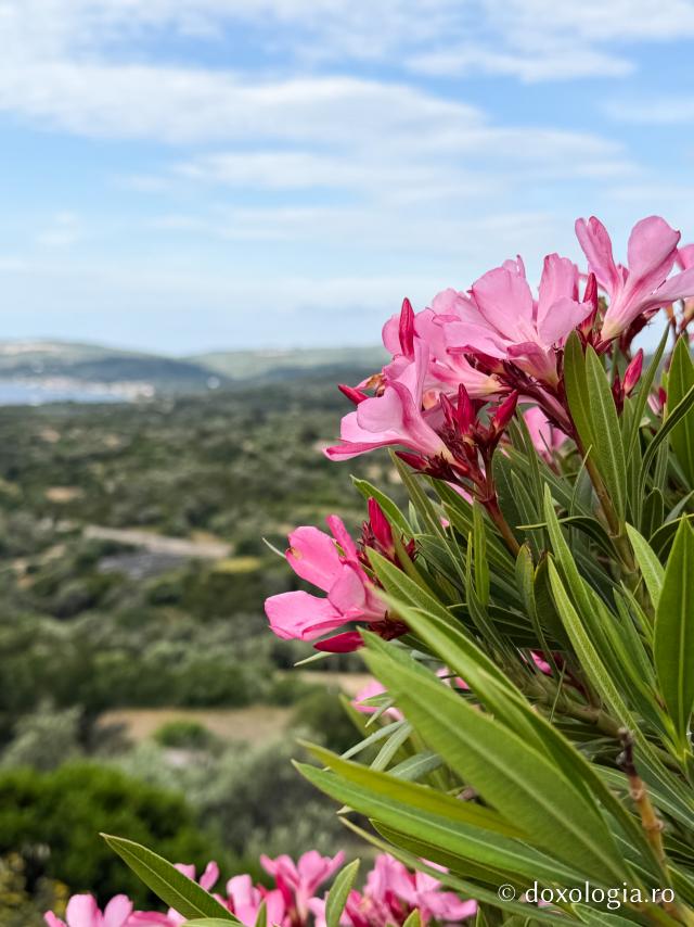 Mănăstirea „Sfântul Mare Mucenic Mina” din Insula Chios