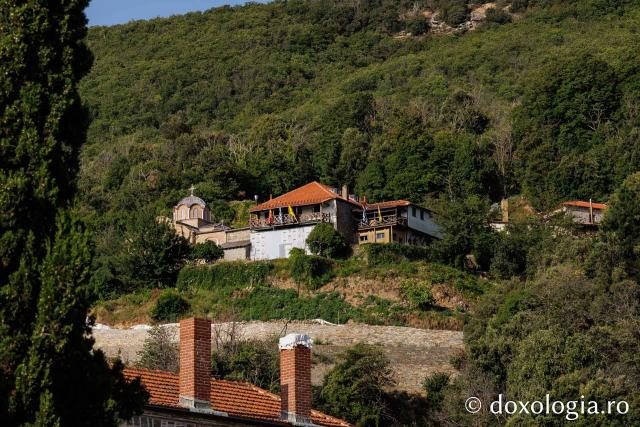 Prăznuirea Sfântului Nicodim Aghioritul la Chilia Skurteilor din Kareia, Athos