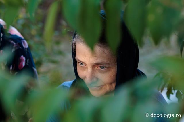 Bucură-te, Cuvioase Părinte – Priveghere în cinstea Sfântului Cuvios Iosif de la Văratec