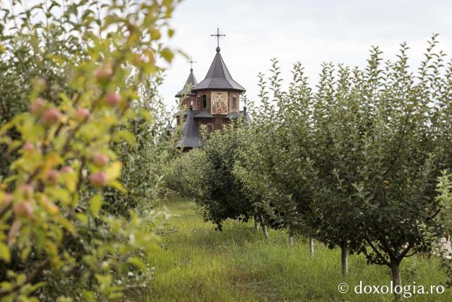Schitul „Pogorârea Sfântului Duh" – Drăgești, Vaslui