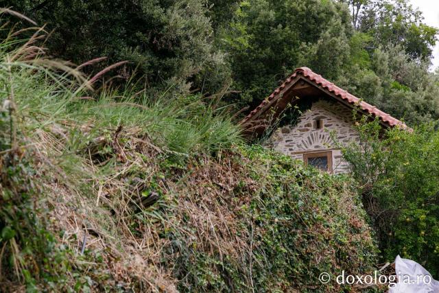 Chilia „Cuviosul Teofil, Izvorâtorul de Mir” Kapsala – Muntele Athos