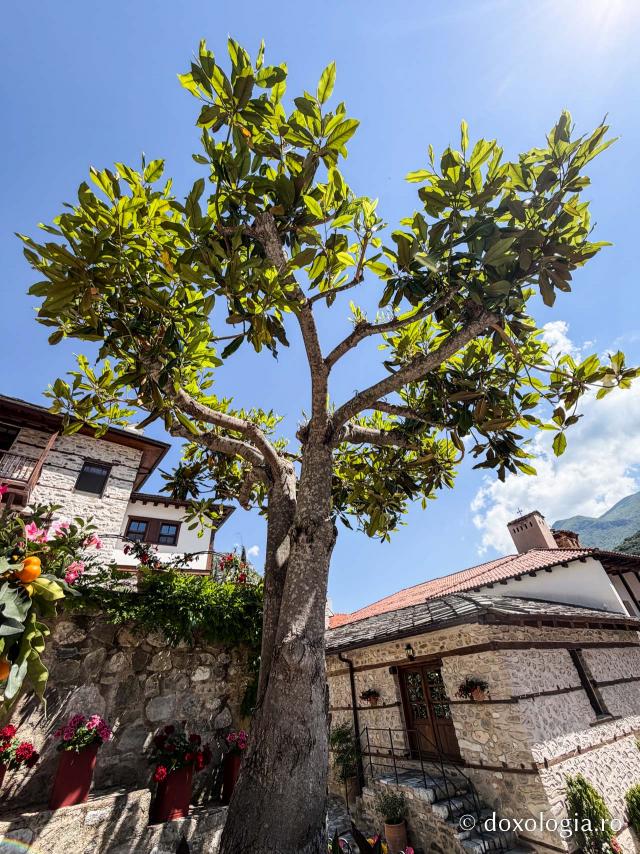 Mănăstirea „Sfântul Ioan Botezătorul” din Serres, Grecia