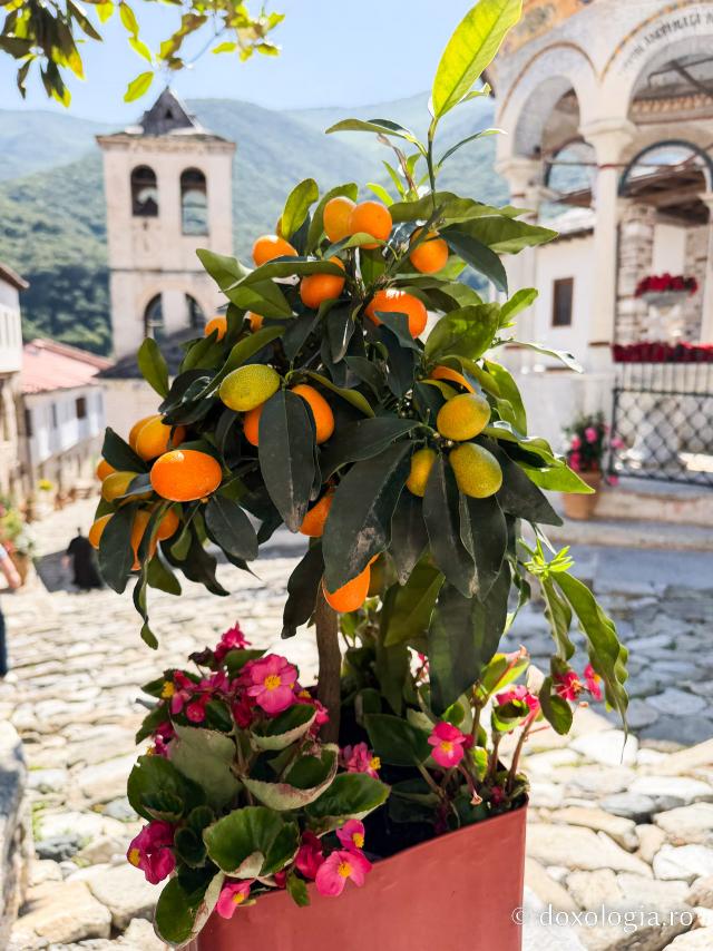 Mănăstirea „Sfântul Ioan Botezătorul” din Serres, Grecia