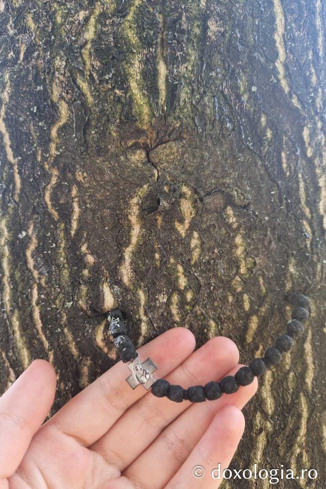 (Foto) „Vederi cu SENS”:  Credința surprinsă în vacanță – Ziua Mondială a Fotografiei 