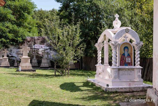 Mormântul Sfântului Onufrie și mărul din livada Mănăstirii Sihăstria Voronei din județul Botoșani