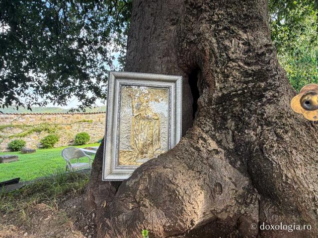 Makvlovani, grădina spiritualității – locul unde Sfânta Nina, luminătoarea Georgiei, a început să propovăduiască Evanghelia lui Dumnezeu