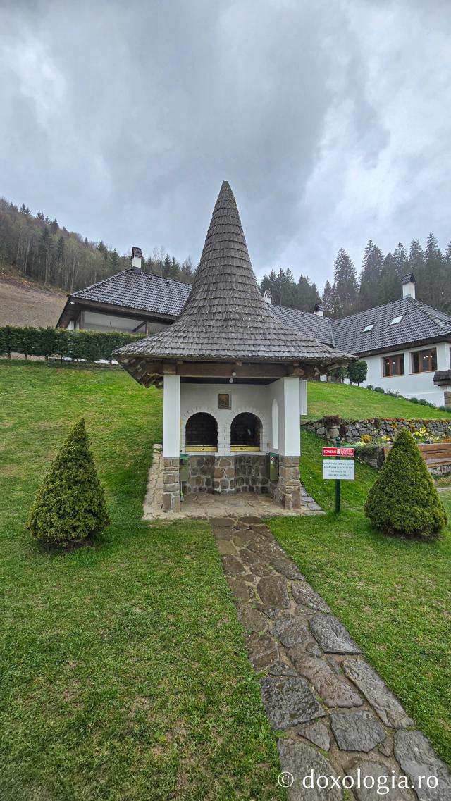 Mănăstirea Valea Bistrei – loc de rugăciune în Munții Apuseni, sub ocrotirea Sfinților Ierarhi Ilie Iorest și Sava Brancovici