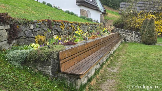Mănăstirea Valea Bistrei – loc de rugăciune în Munții Apuseni, sub ocrotirea Sfinților Ierarhi Ilie Iorest și Sava Brancovici