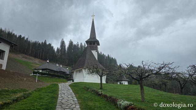 Mănăstirea Valea Bistrei – loc de rugăciune în Munții Apuseni, sub ocrotirea Sfinților Ierarhi Ilie Iorest și Sava Brancovici