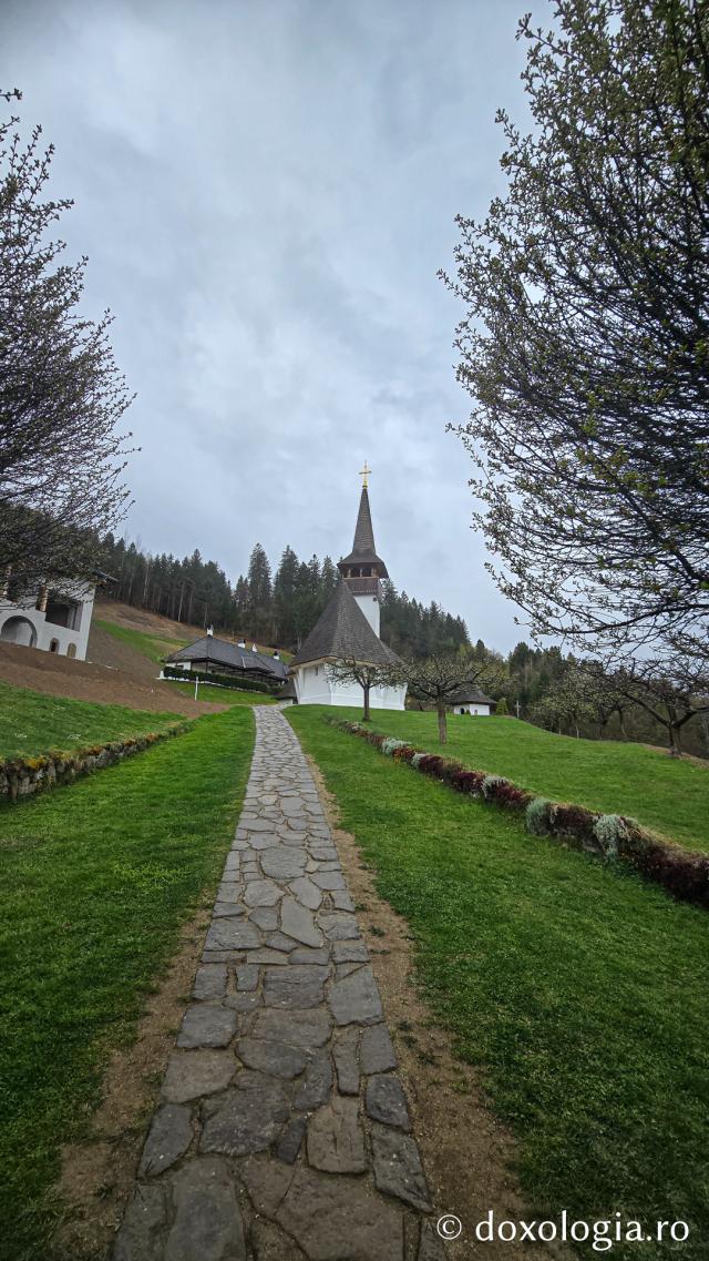 Mănăstirea Valea Bistrei – loc de rugăciune în Munții Apuseni, sub ocrotirea Sfinților Ierarhi Ilie Iorest și Sava Brancovici