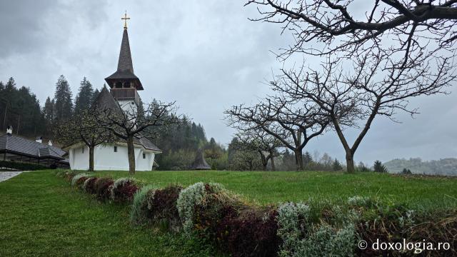 Mănăstirea Valea Bistrei – loc de rugăciune în Munții Apuseni, sub ocrotirea Sfinților Ierarhi Ilie Iorest și Sava Brancovici
