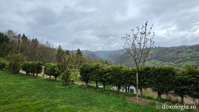 Mănăstirea Valea Bistrei – loc de rugăciune în Munții Apuseni, sub ocrotirea Sfinților Ierarhi Ilie Iorest și Sava Brancovici