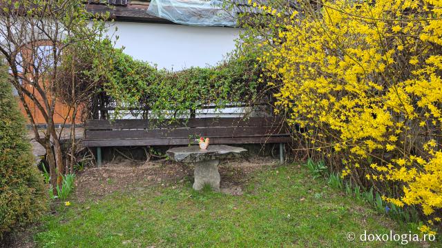 Mănăstirea Valea Bistrei – loc de rugăciune în Munții Apuseni, sub ocrotirea Sfinților Ierarhi Ilie Iorest și Sava Brancovici