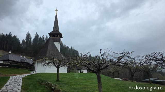 Mănăstirea Valea Bistrei – loc de rugăciune în Munții Apuseni, sub ocrotirea Sfinților Ierarhi Ilie Iorest și Sava Brancovici