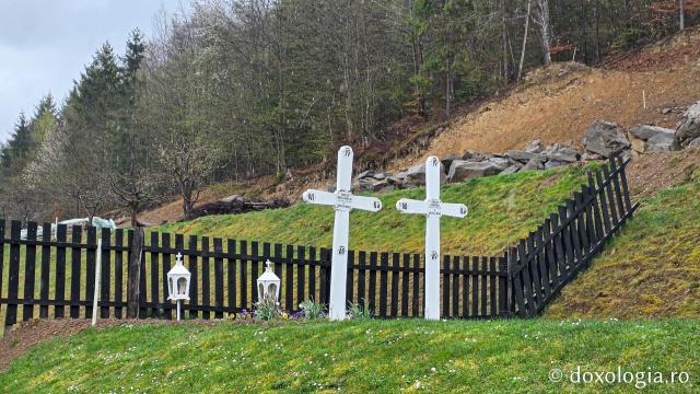 Mănăstirea Valea Bistrei – loc de rugăciune în Munții Apuseni, sub ocrotirea Sfinților Ierarhi Ilie Iorest și Sava Brancovici