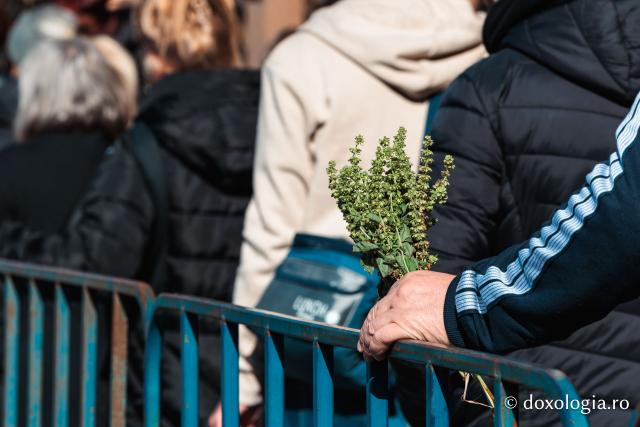 Jurnal de pelerin la Sfânta Cuvioasă Parascheva – Ziua a I-a, 8 octombrie 2026