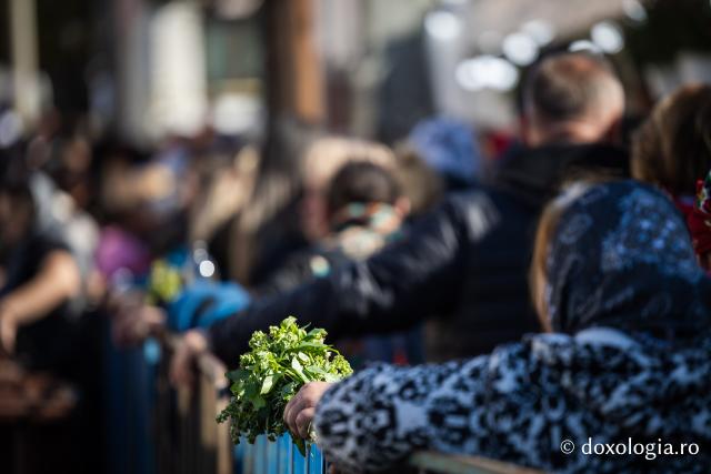 Jurnal de pelerin la Sfânta Cuvioasă Parascheva – Ziua a I-a, 8 octombrie 2026