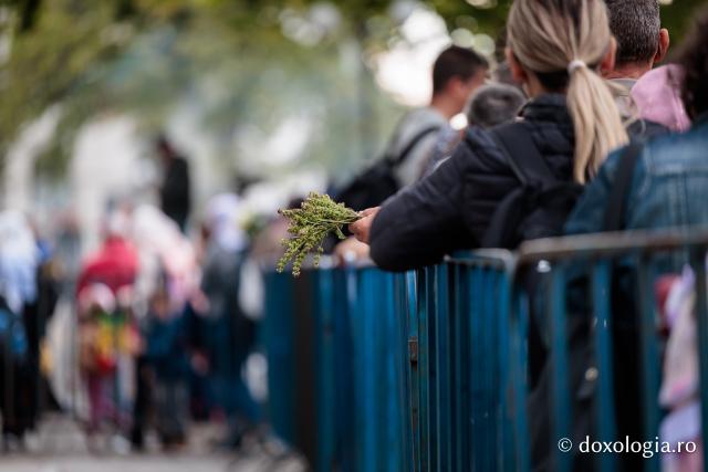 Jurnal de pelerin la Sfânta Cuvioasă Parascheva – Ziua a I-a, 8 octombrie 2026