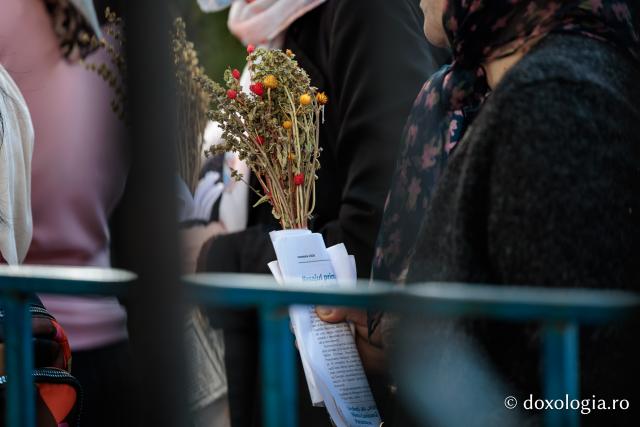 Jurnal de pelerin la Sfinții Cuvioși Parascheva și Paisie de la Sihăstria (ziua a IV-a)