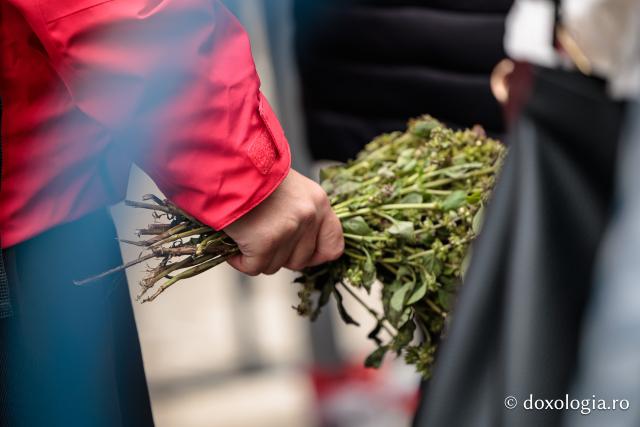 Jurnal de pelerin la Sfinții Cuvioși Parascheva și Paisie de la Sihăstria (ziua a VI-a)