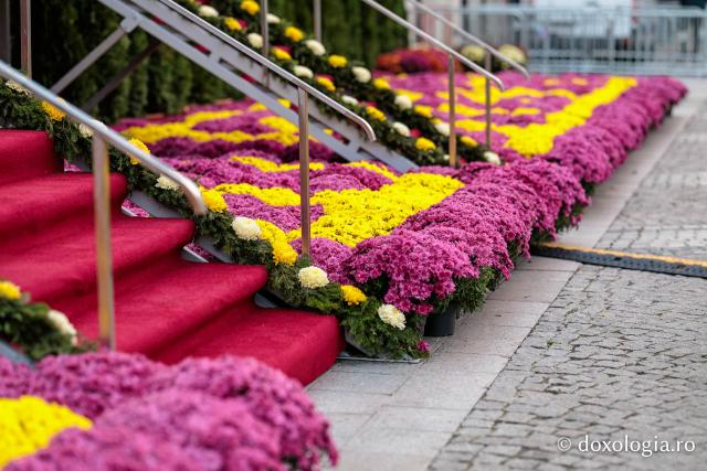 Florile Sfintei Parascheva